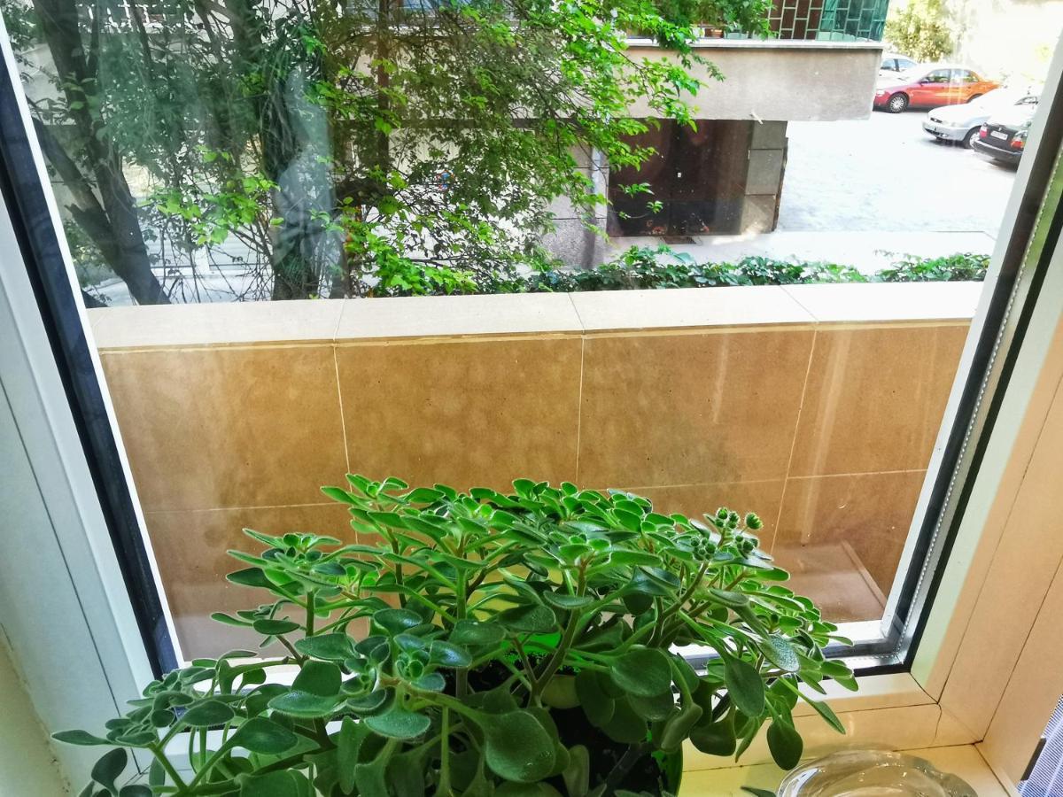 Rila Apartament *
